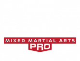 GAMMA Pro